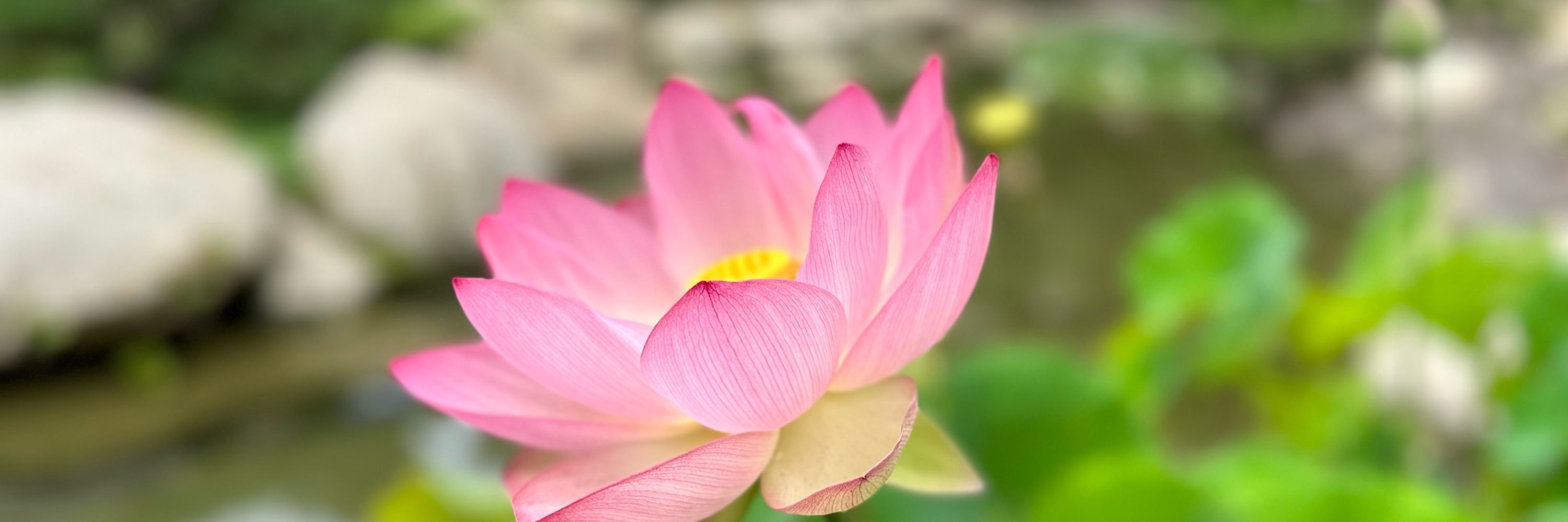 Swami Tyagananda