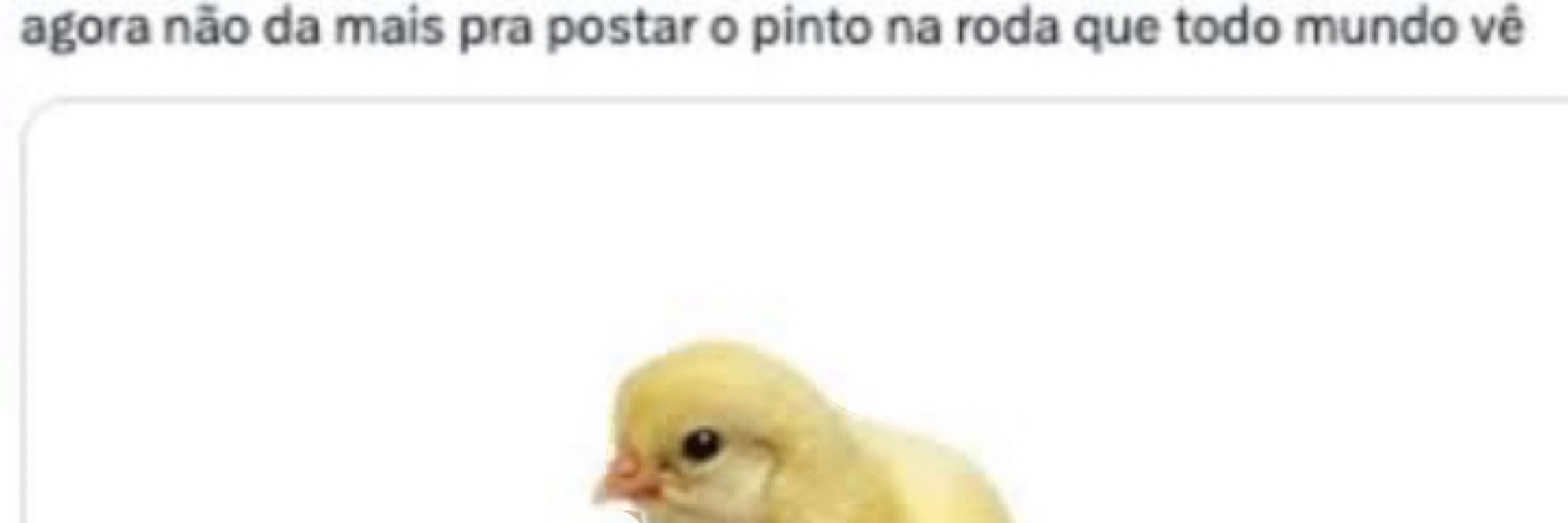 Lopes 