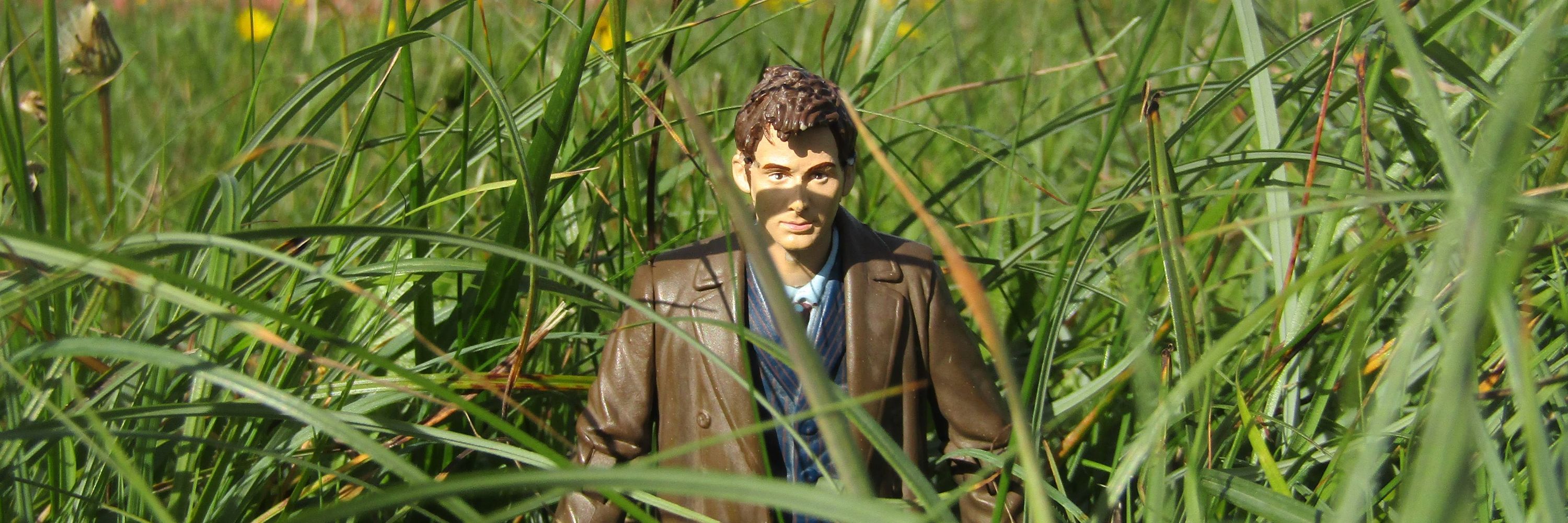 tiny tennant