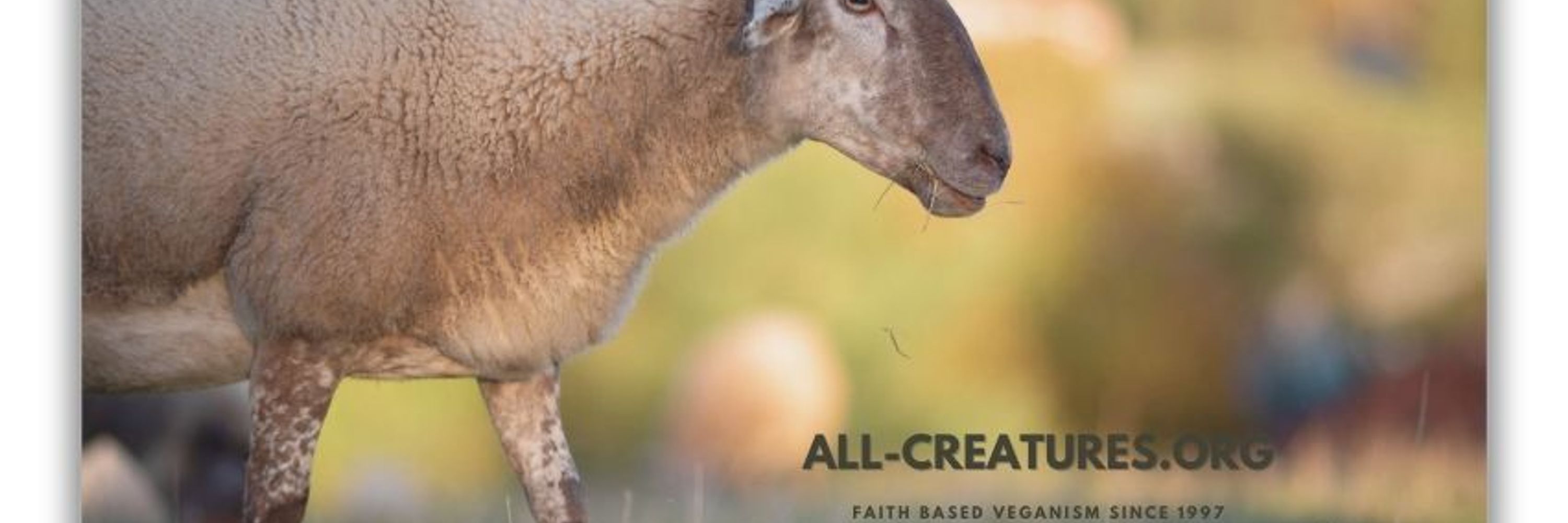 All-Creatures.org