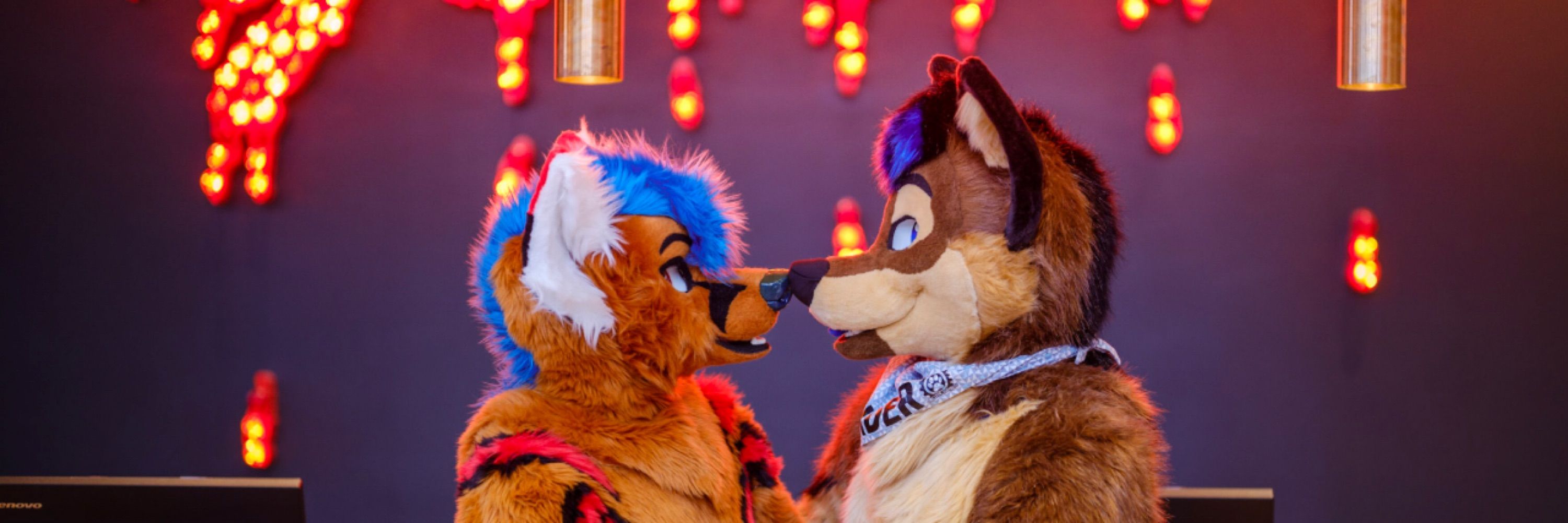 Xander Wusky Bark! 🇳🇱