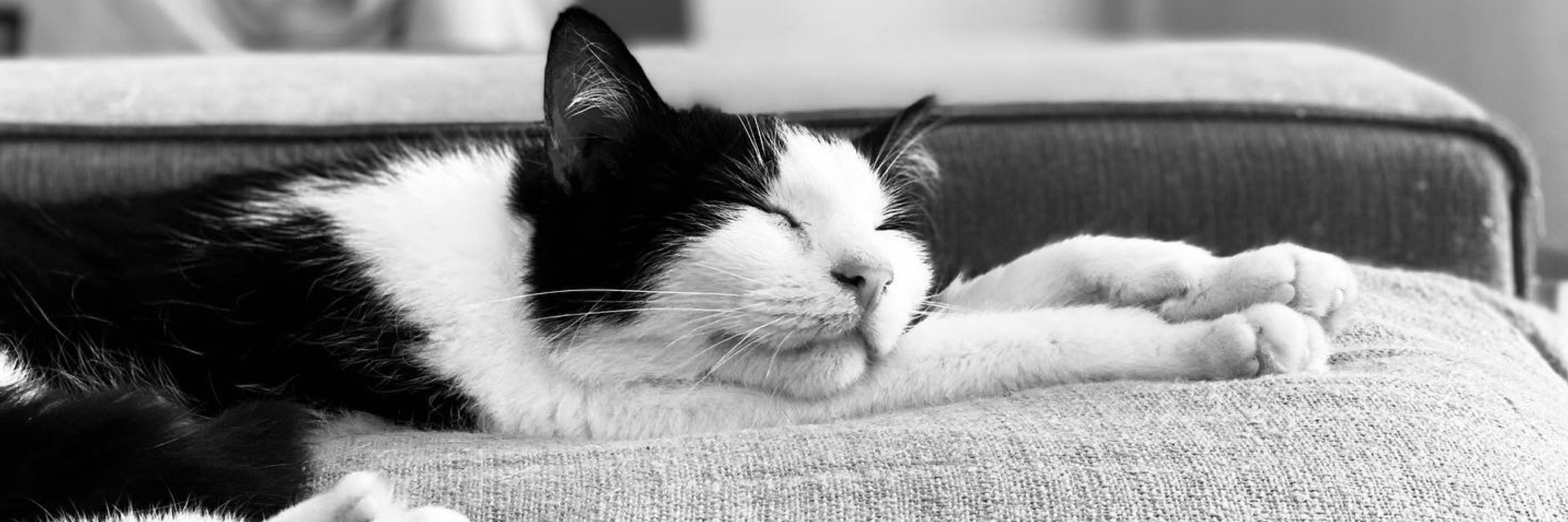 En Noir et Blanc