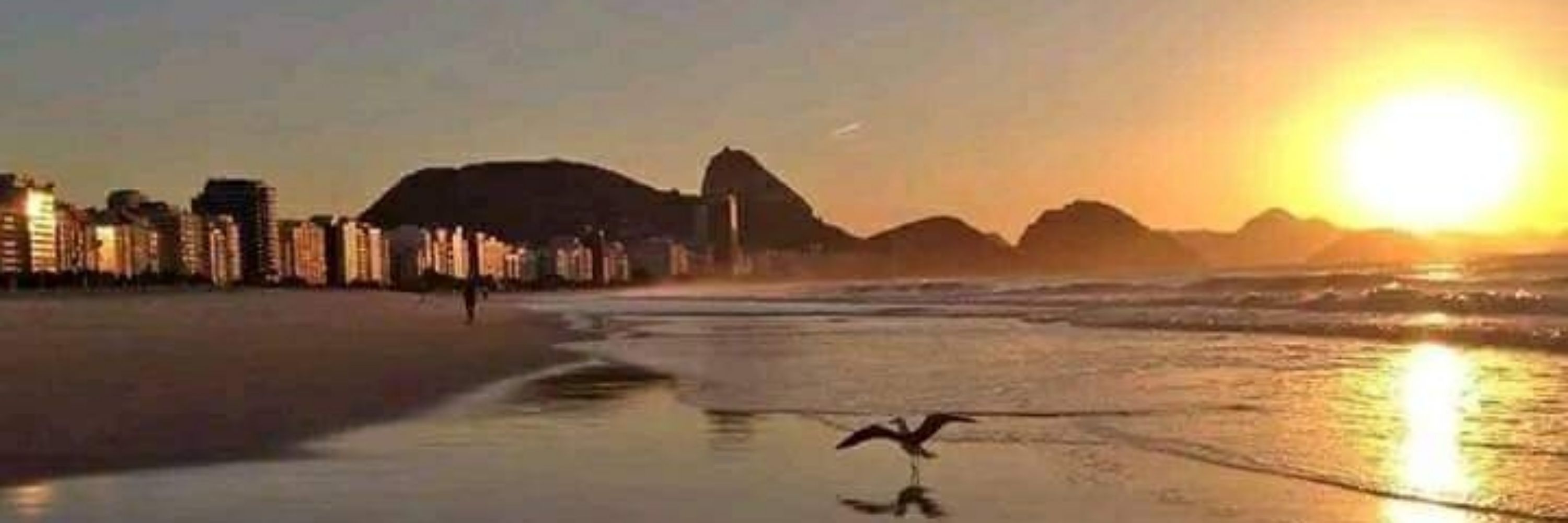 Phildotadao🍆  Rio de Janeiro