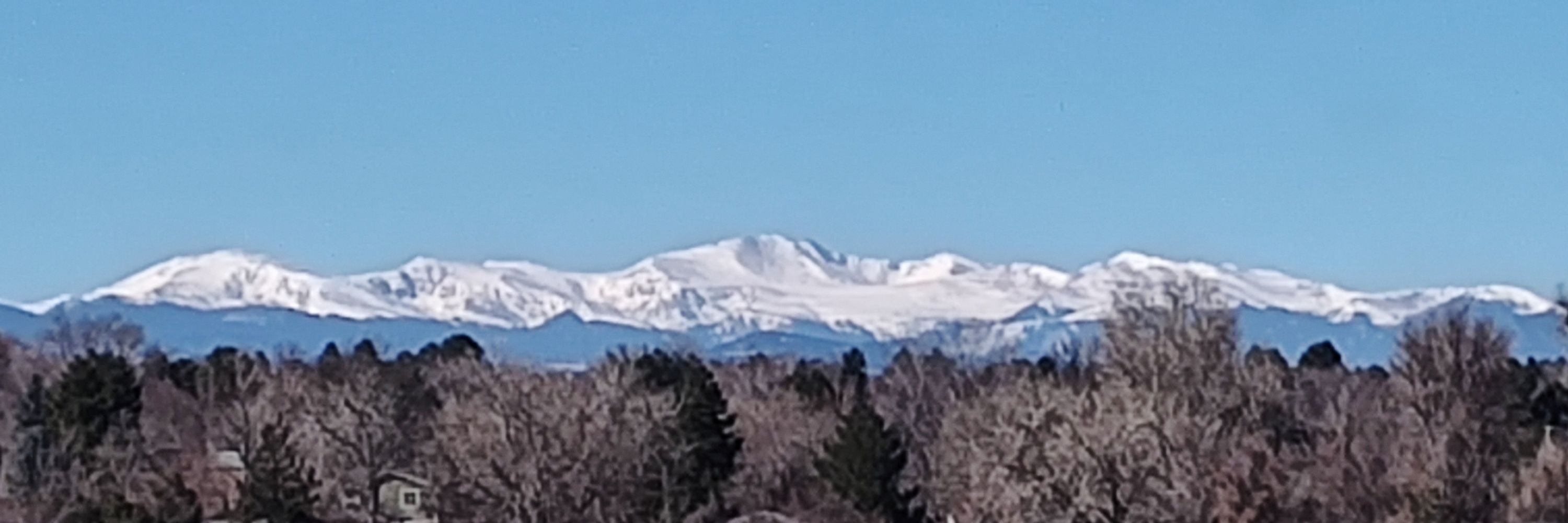 Colorado Native