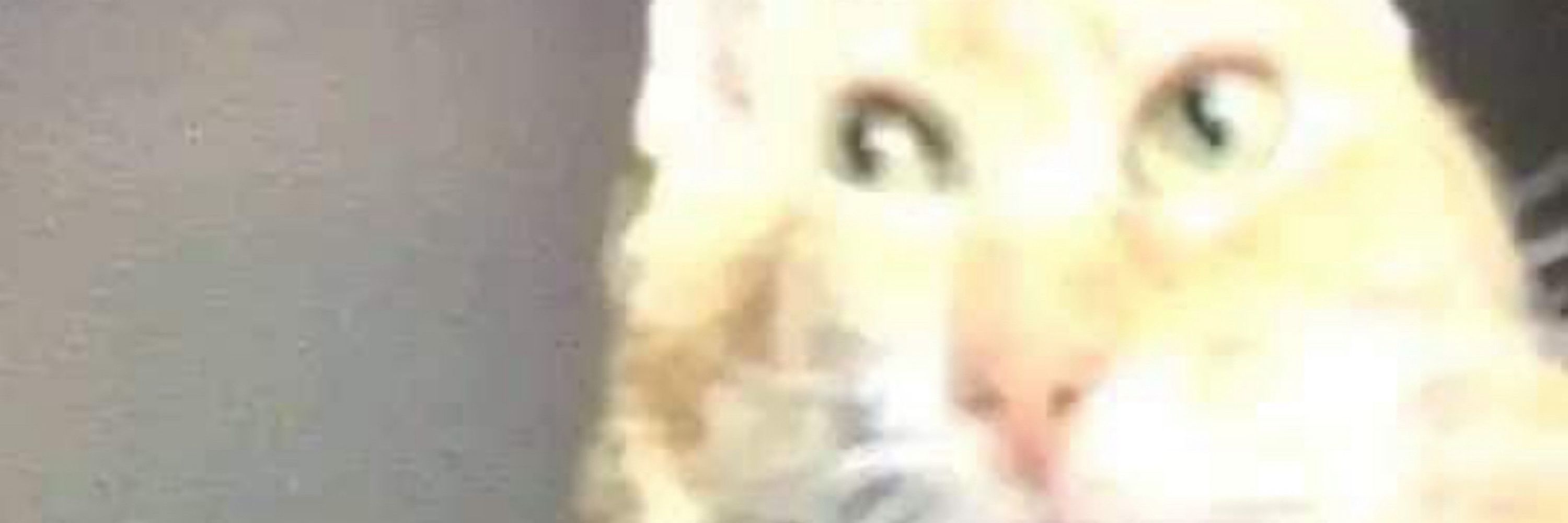 Elemo