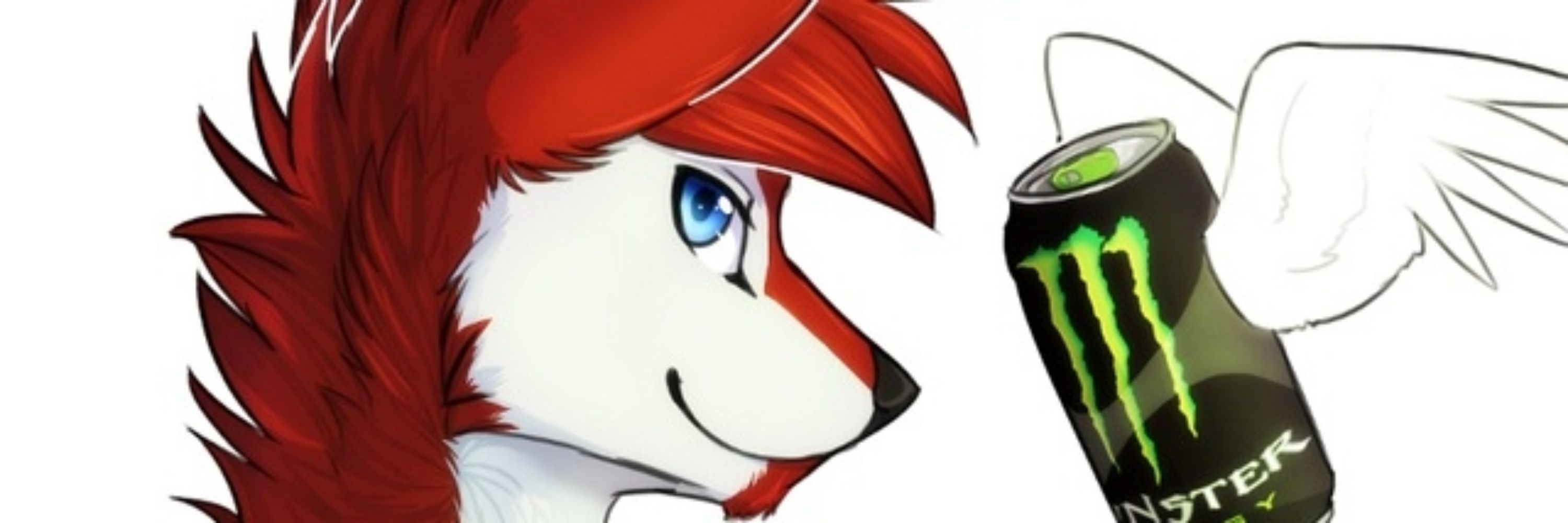 Todd Wolfox
