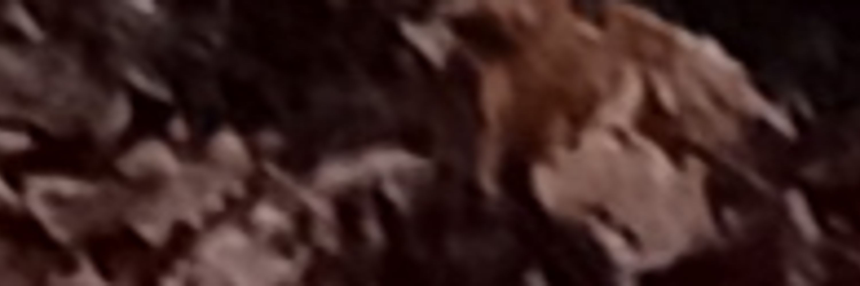 Linda E-W 