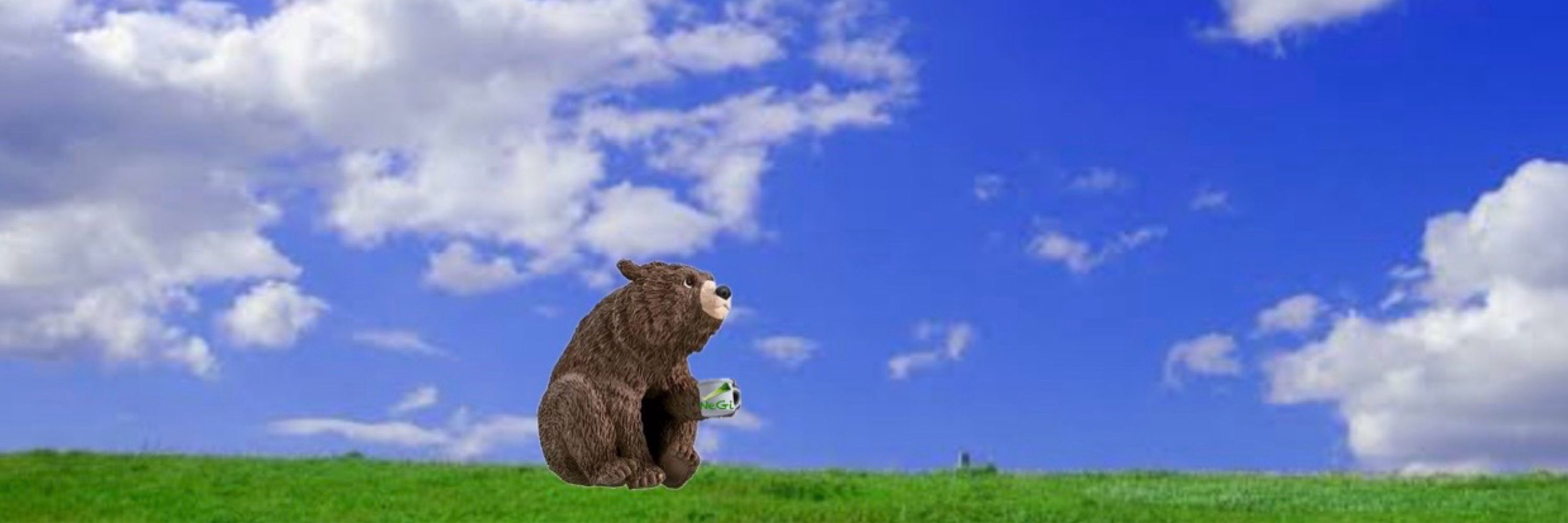 ねぎぐま