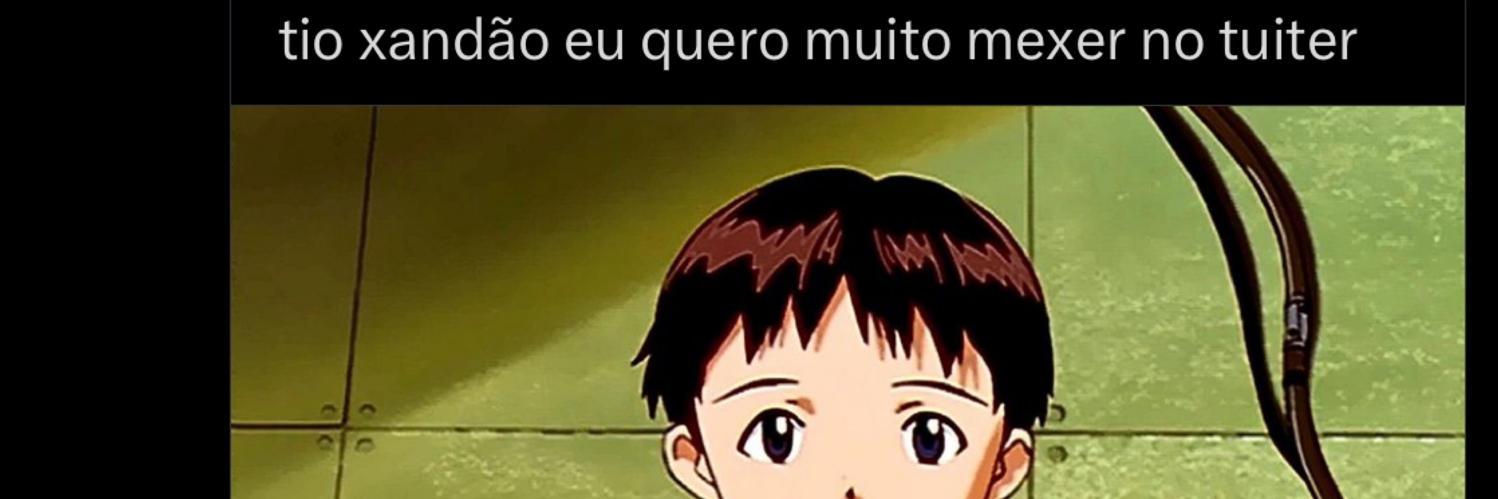 ledinha