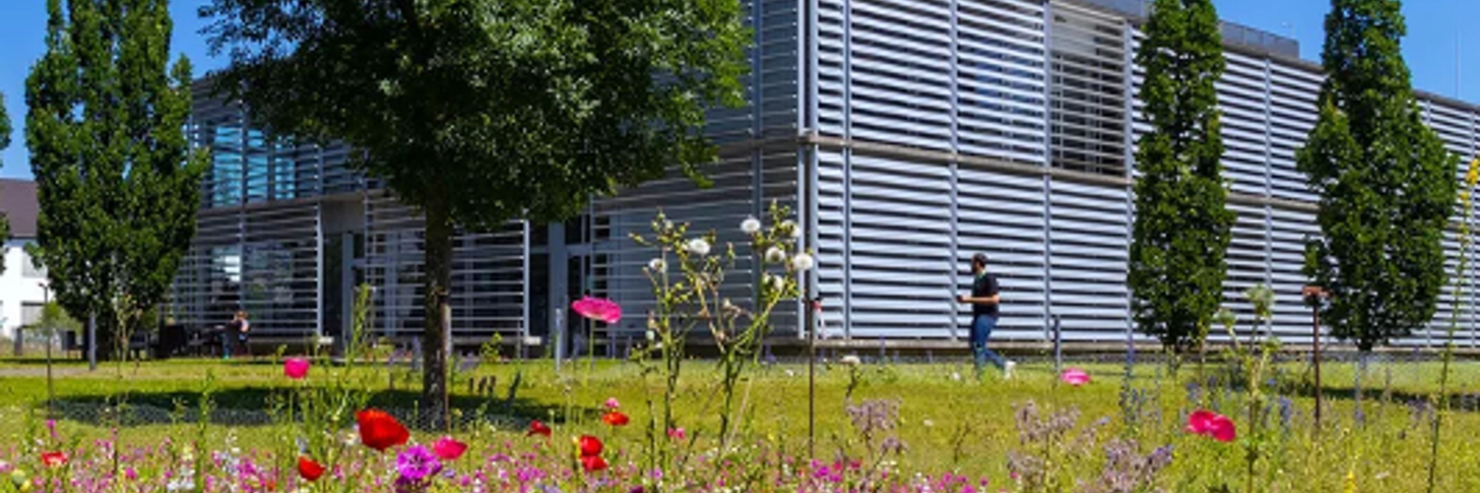 Max Planck Institute for Plant Breeding Research