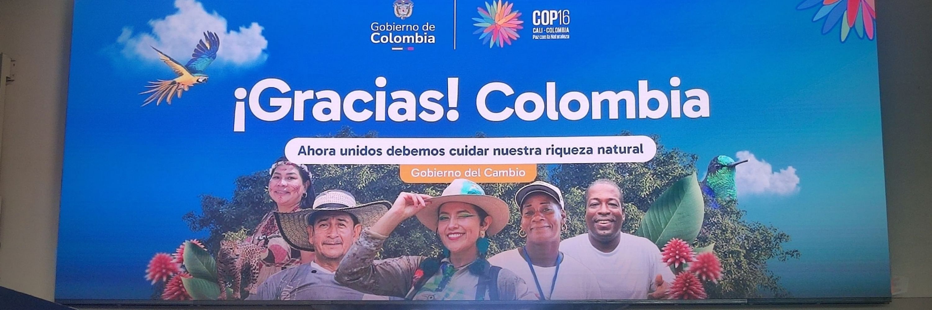 Leyden Heredia - Birding guide - Polyglot 🗣️🇨🇴🇺🇲🇧🇷