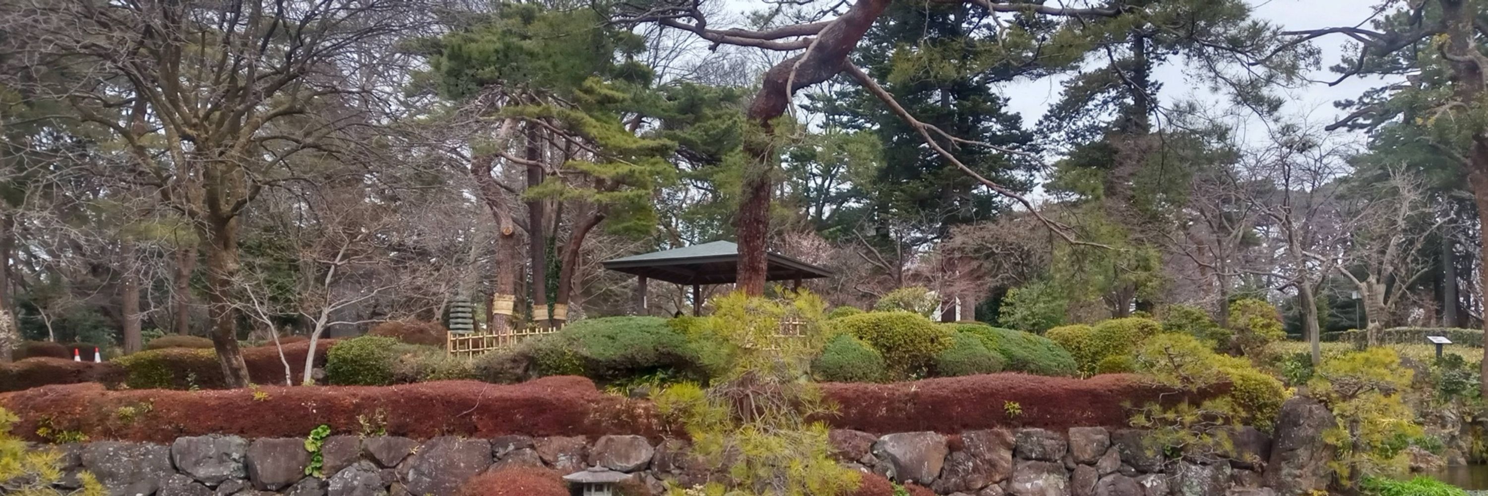 フフフ