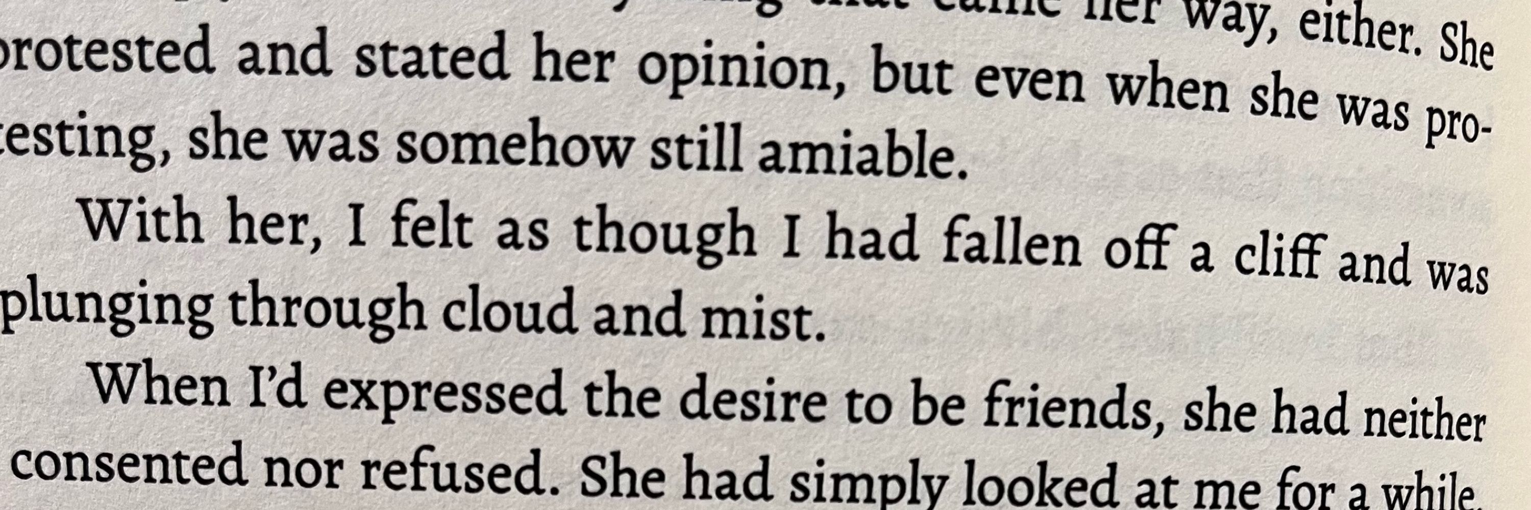 gay book enjoyer