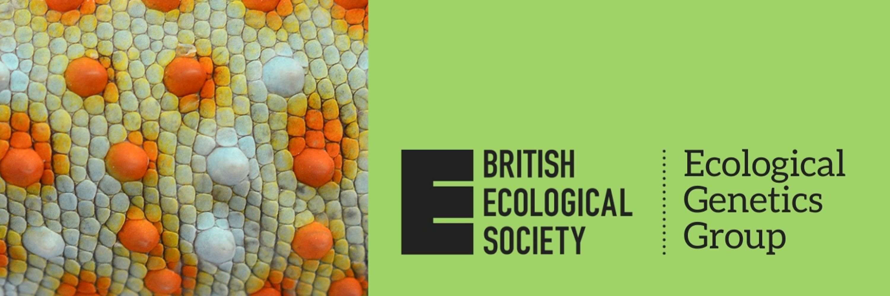 BES Ecological Genetics Group