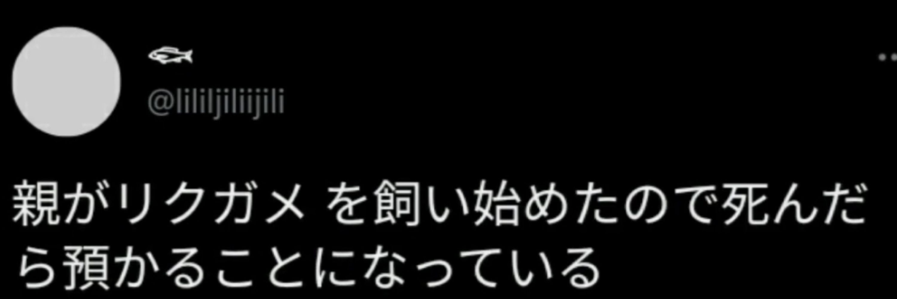 Kymoriii