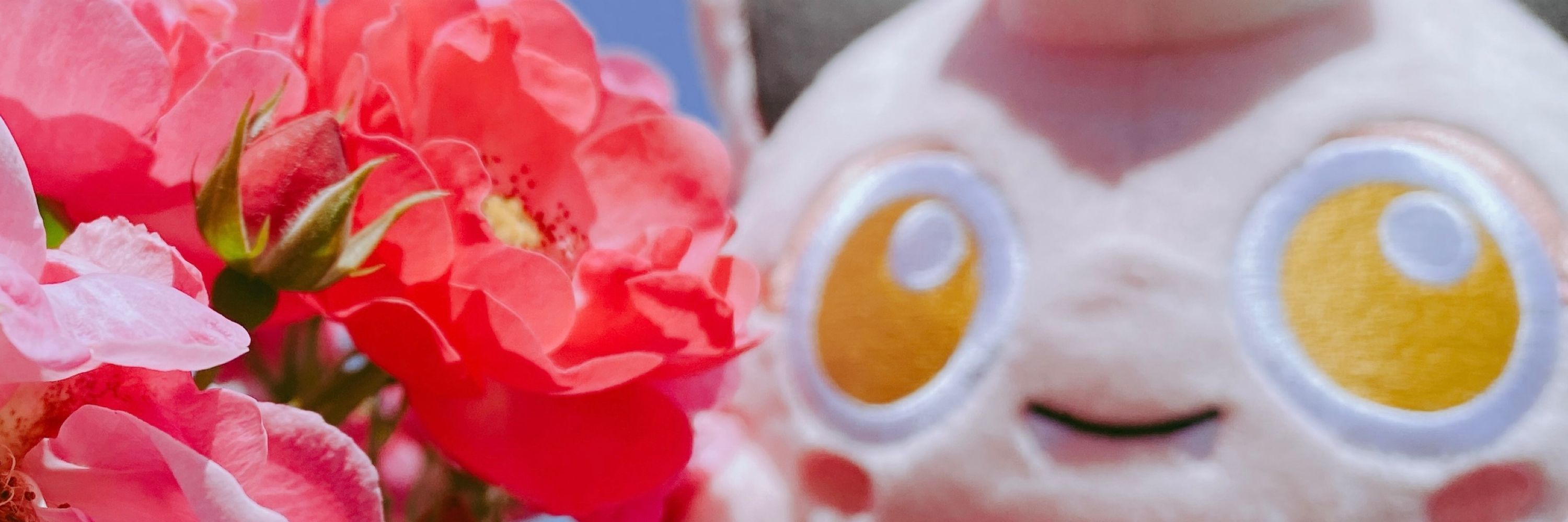 MKせろり