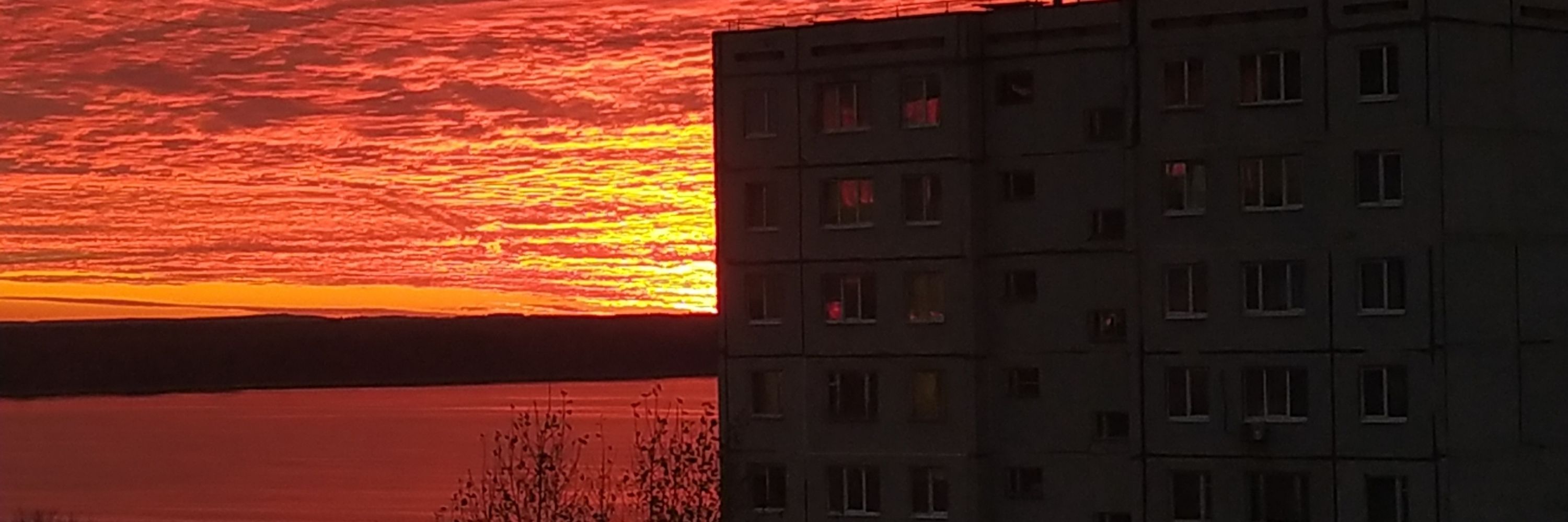 Pchellee | Пчель