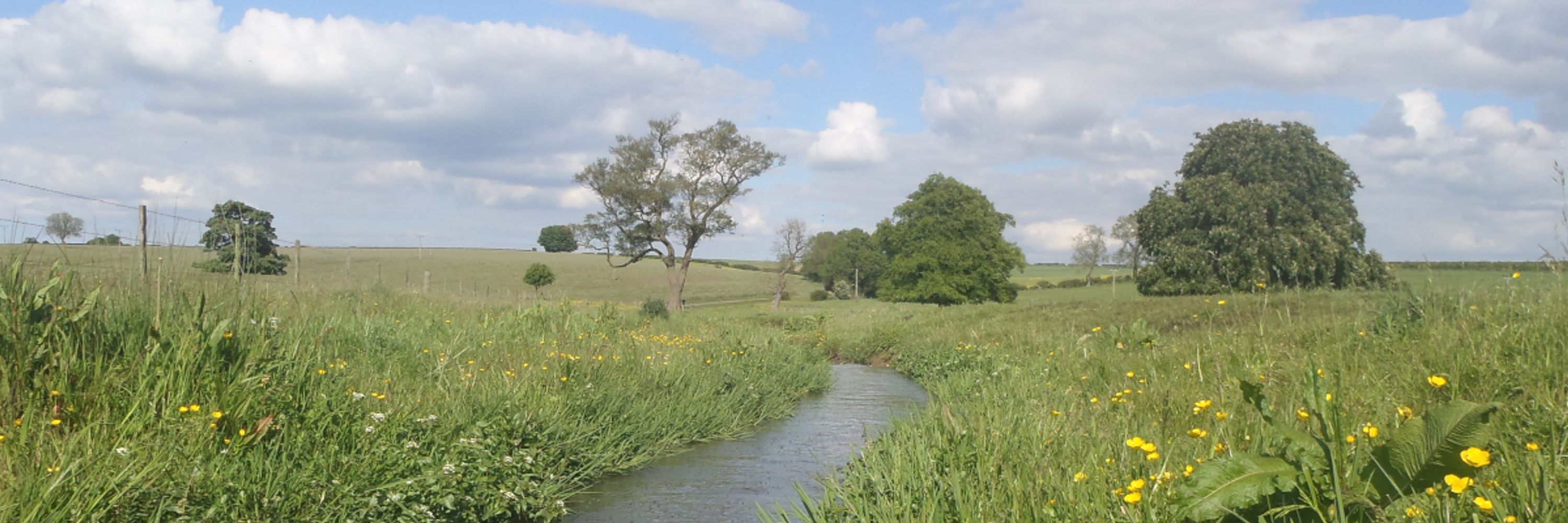 Lincolnshire Chalk Streams Project 