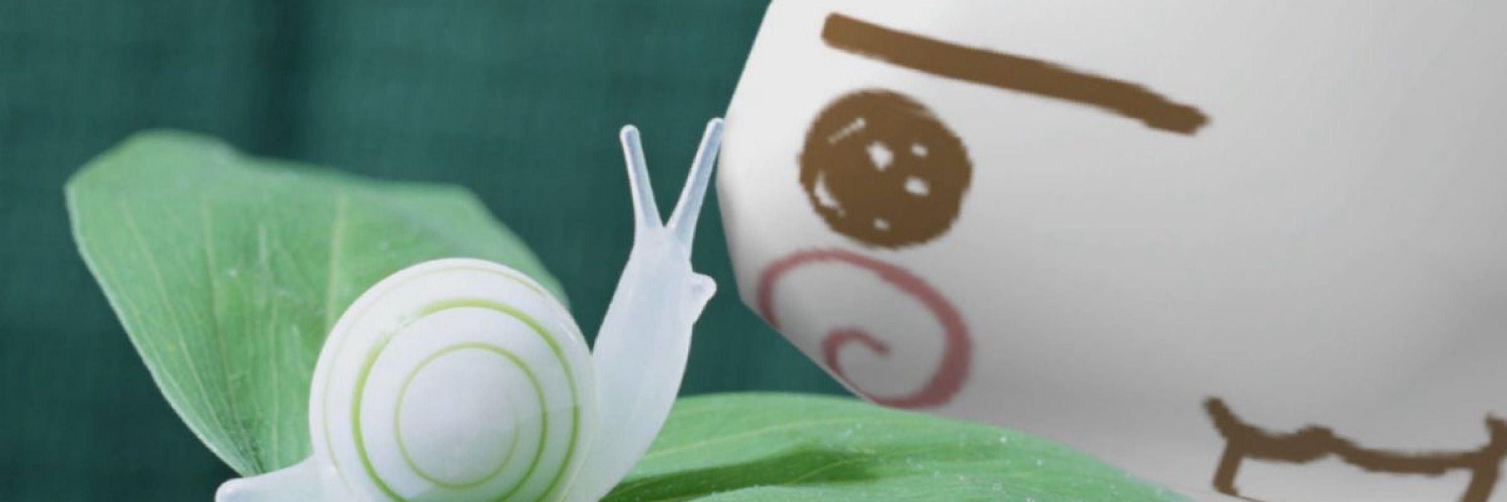 🐌