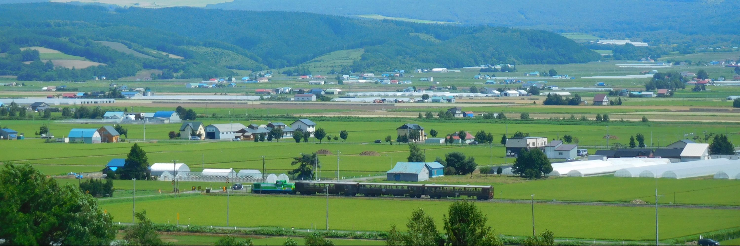 けろっこりー(´・ω・｀)