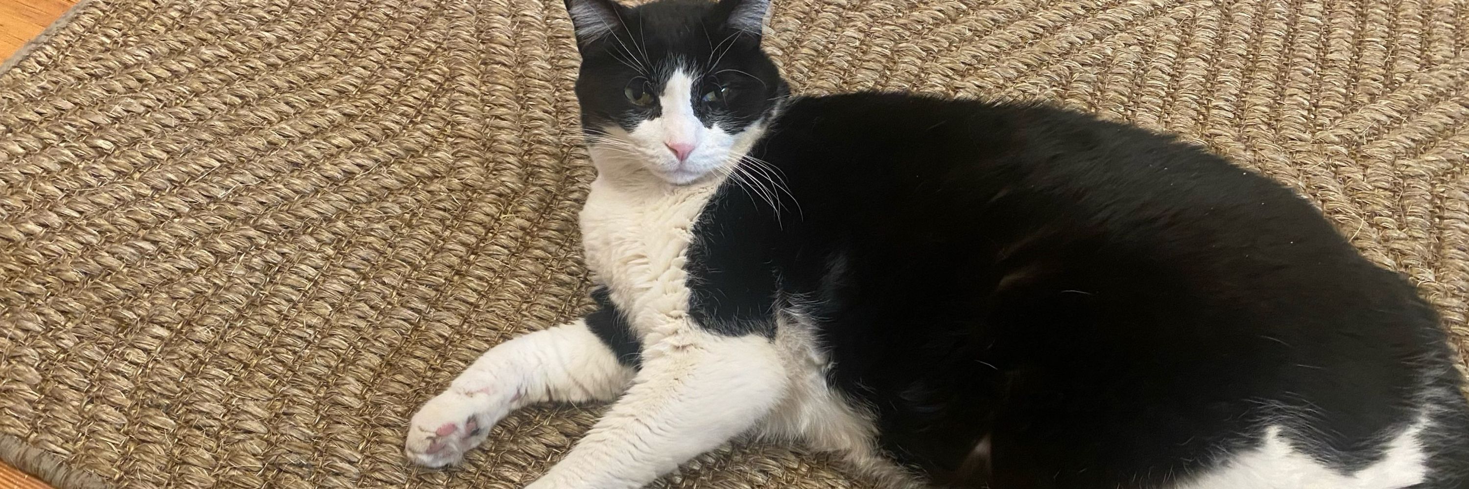 Sir Isaac Newtons human 