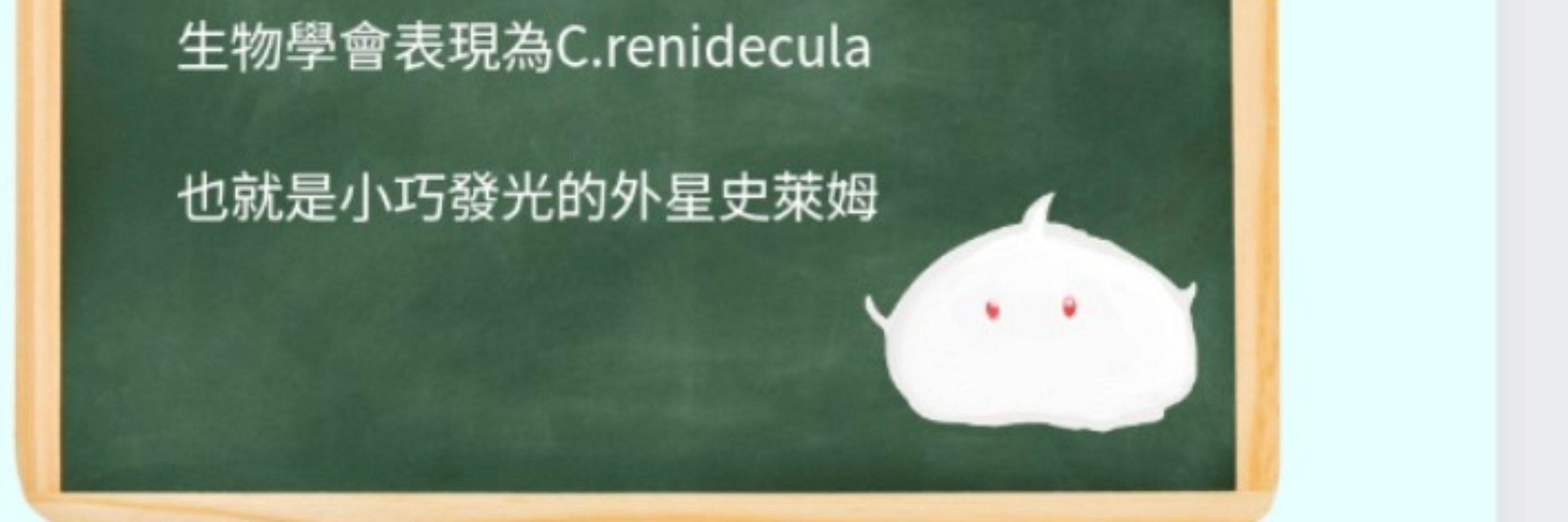 VTuber Renidecula (光醬）