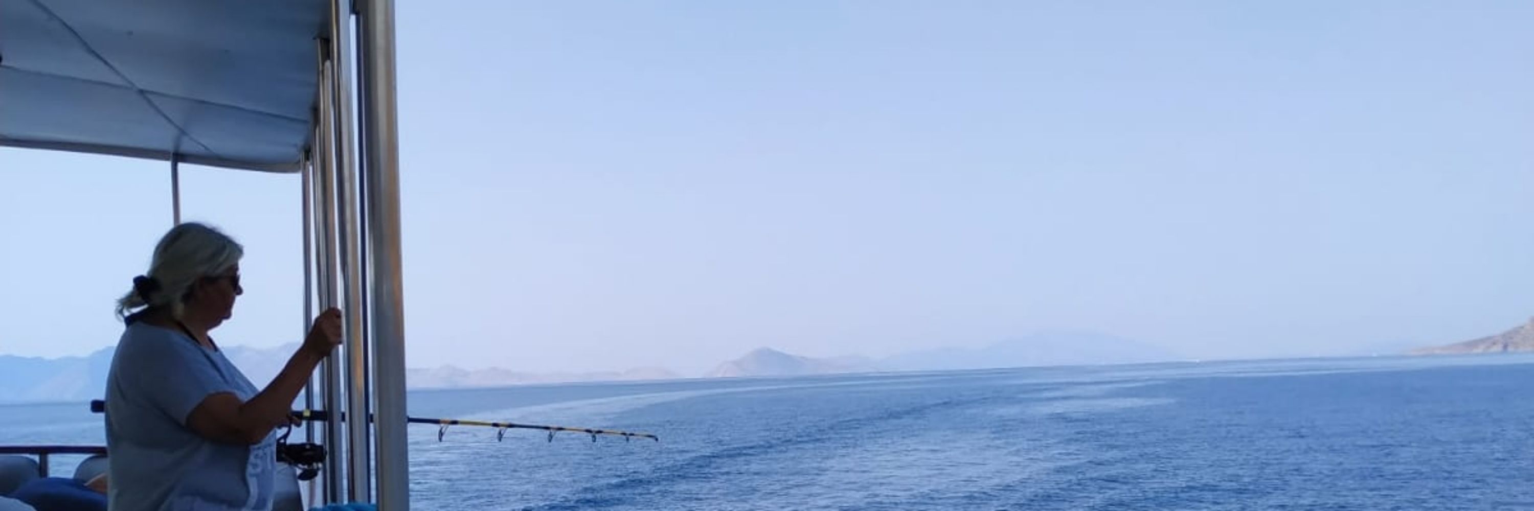 Tütü