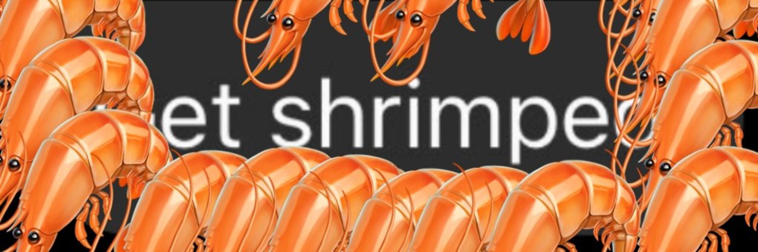 𝘩𝘢𝘦𝘭𝘦𝘯 🦐