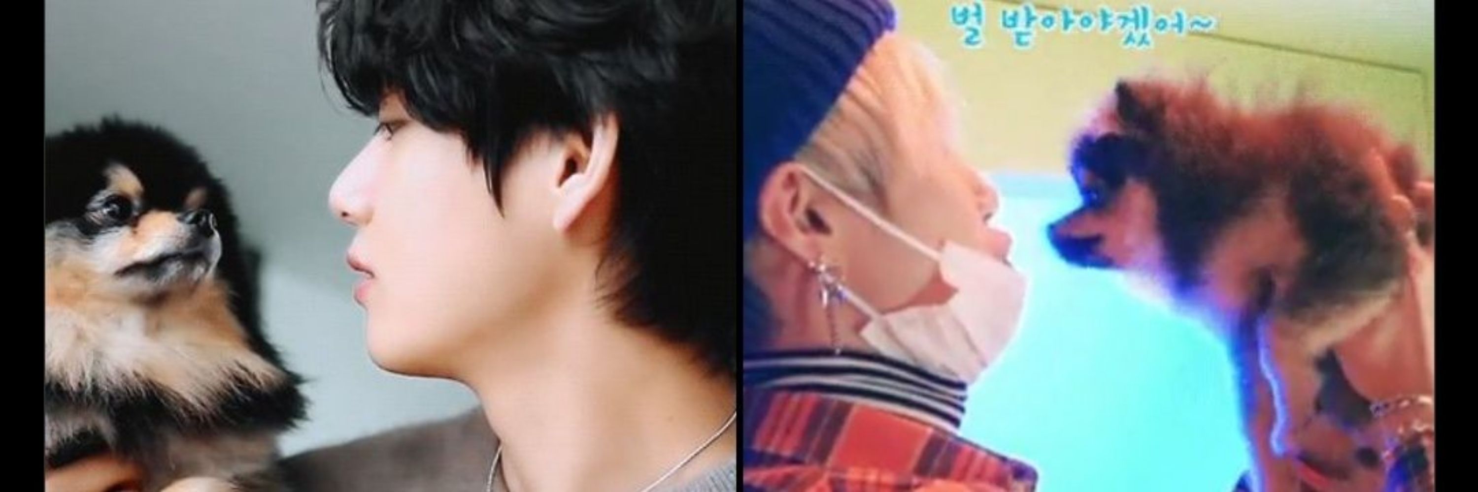 daeguboys.jinkook