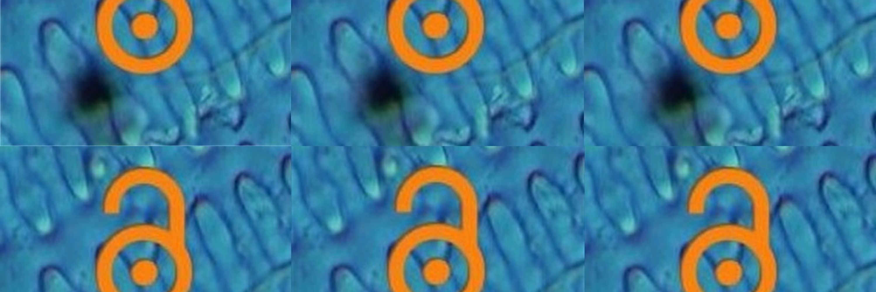 Open Phytoliths Community