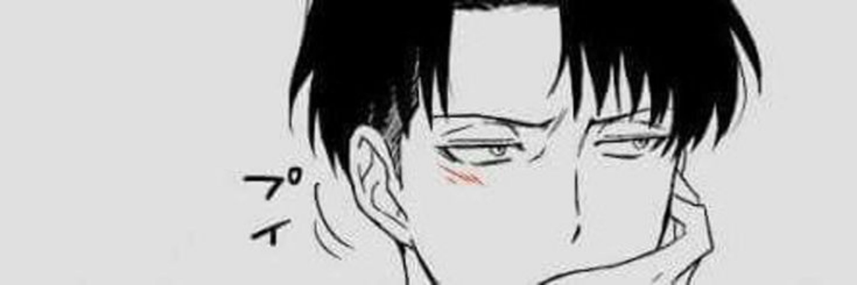 Levi