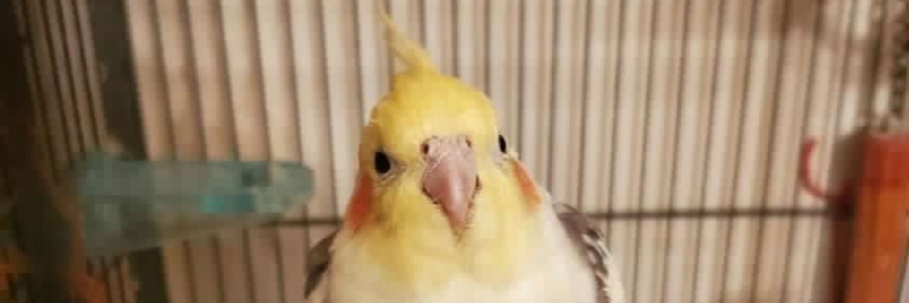 van ✮⋆⁷  