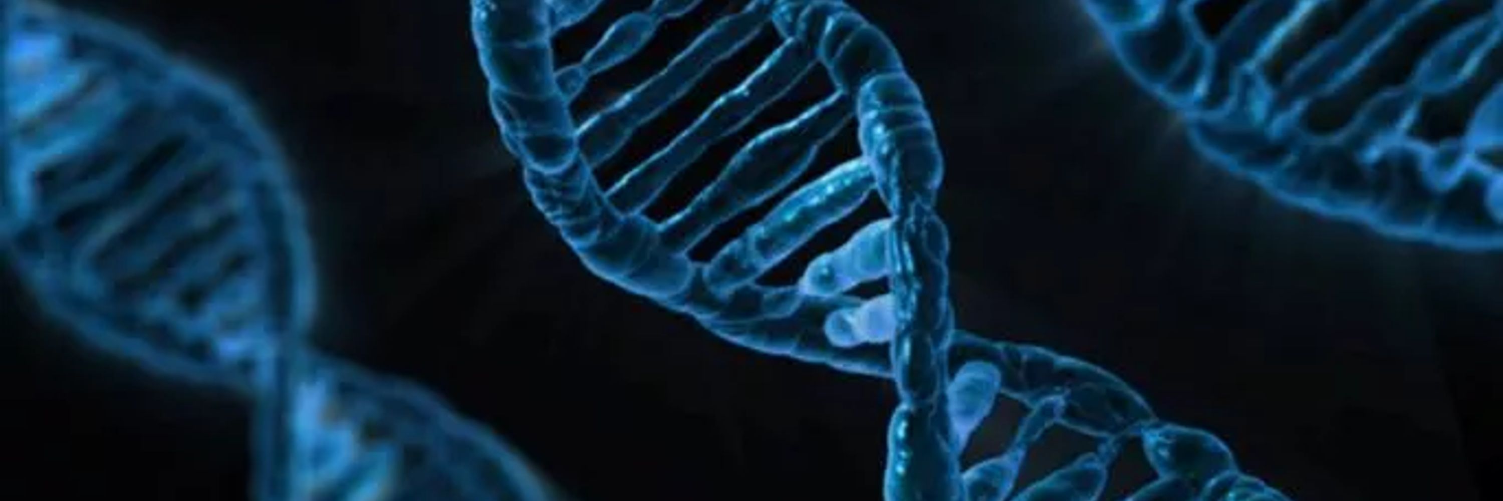  Mechanics of Life Leverhulme Doctoral Scholarship Programme