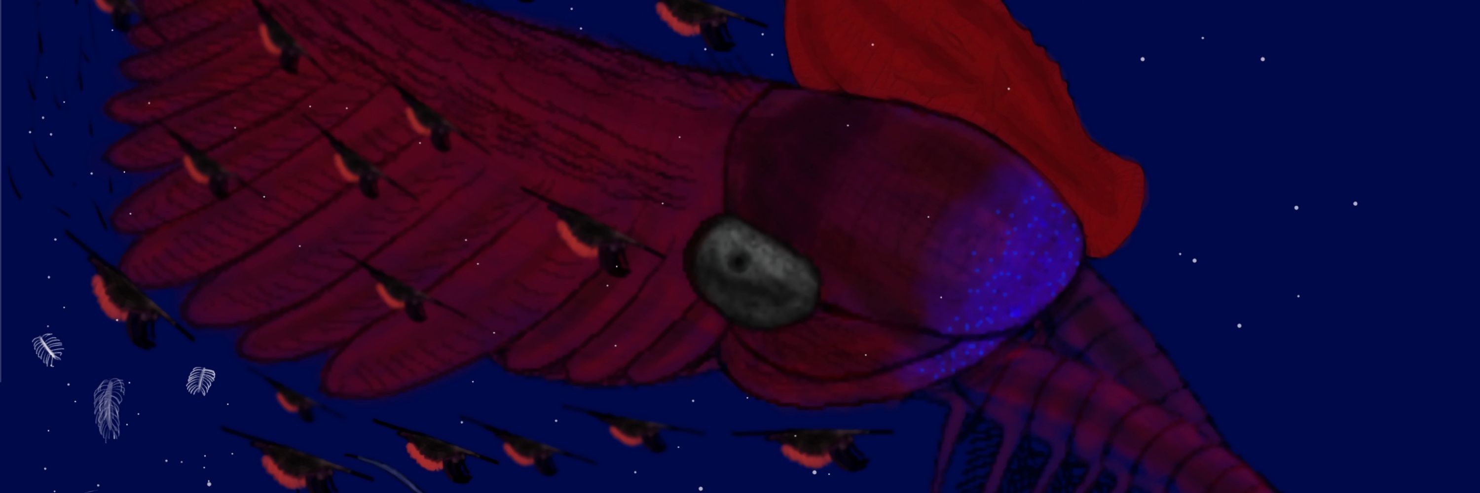 Fossiladder13