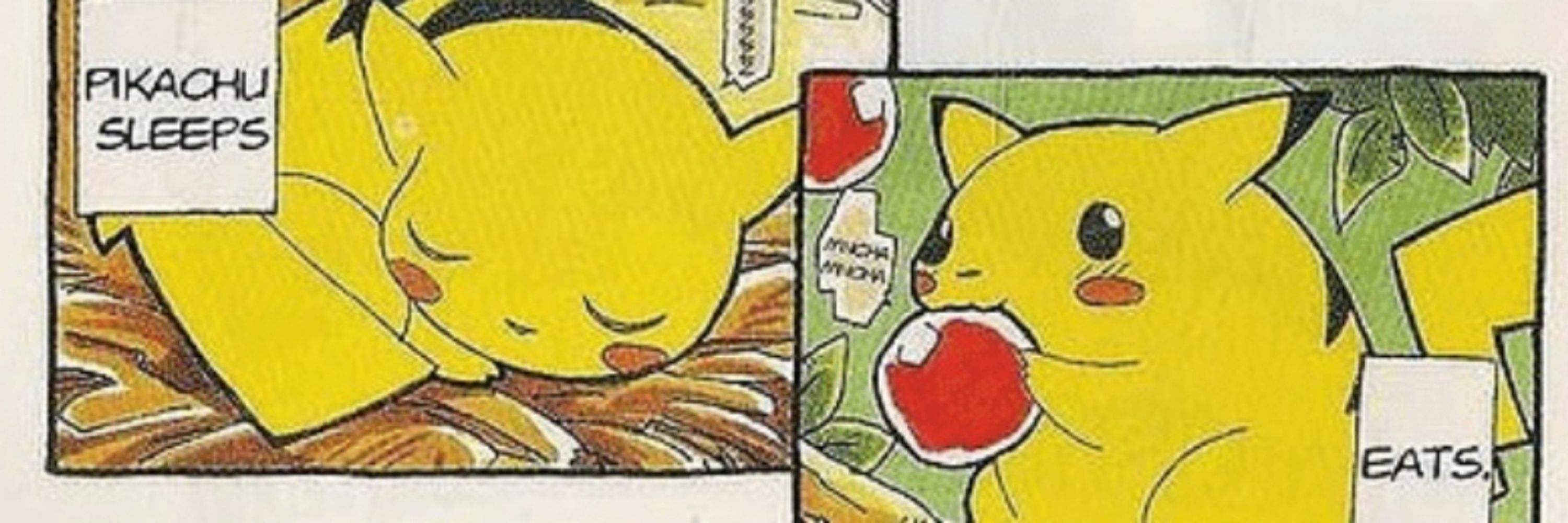 Pikachumaniaco 🌩️