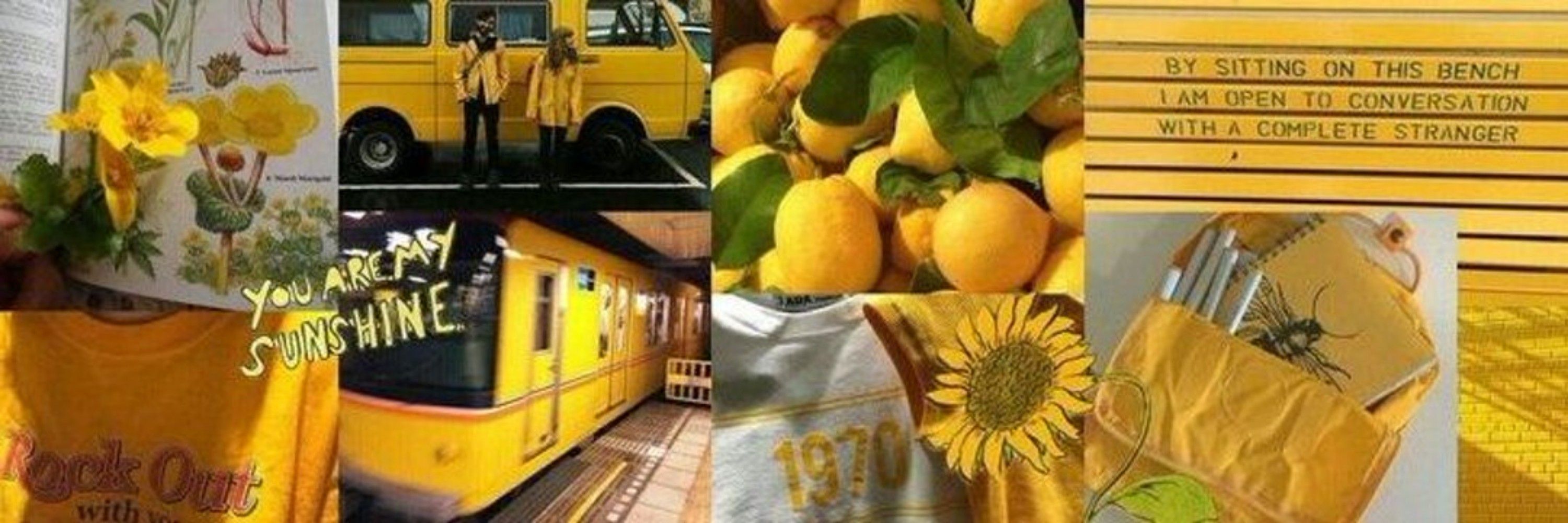 Lavender ⋆｡‧˚ʚ 🤍 ɞ˚‧｡⋆:🌻‧₊˚ ☁️⋅♡𓂃 ࣪ 🍋 ִֶָ☾.