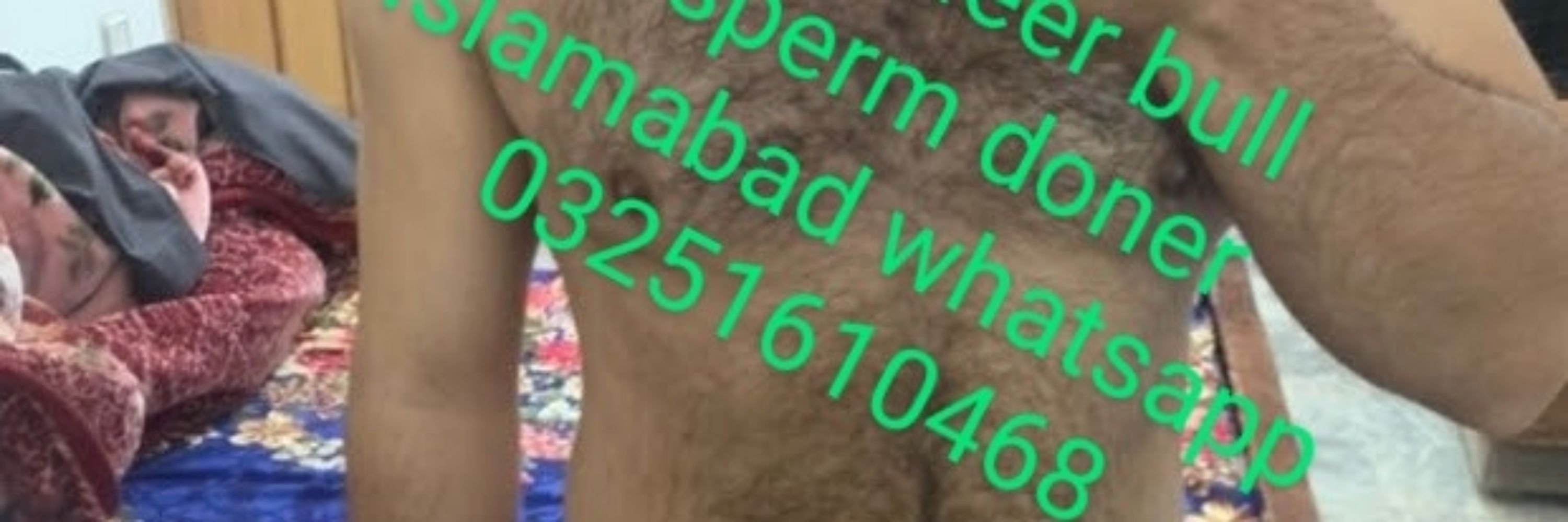 Shahmeer bull Islamabad