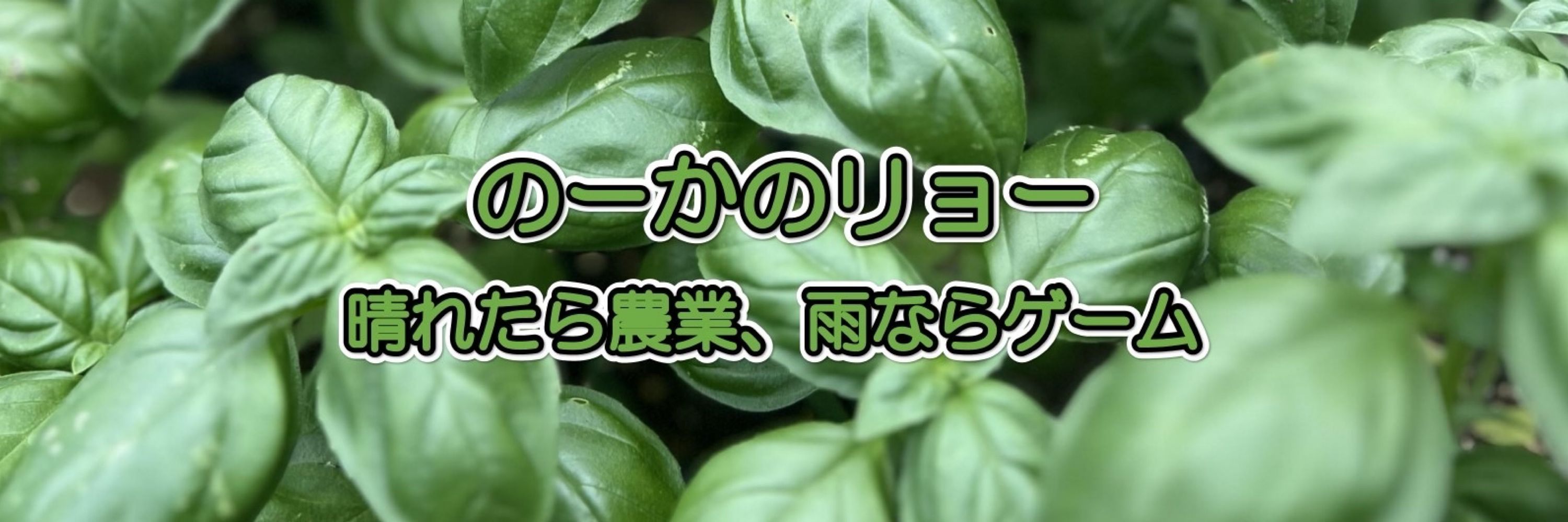 のーかのリョー