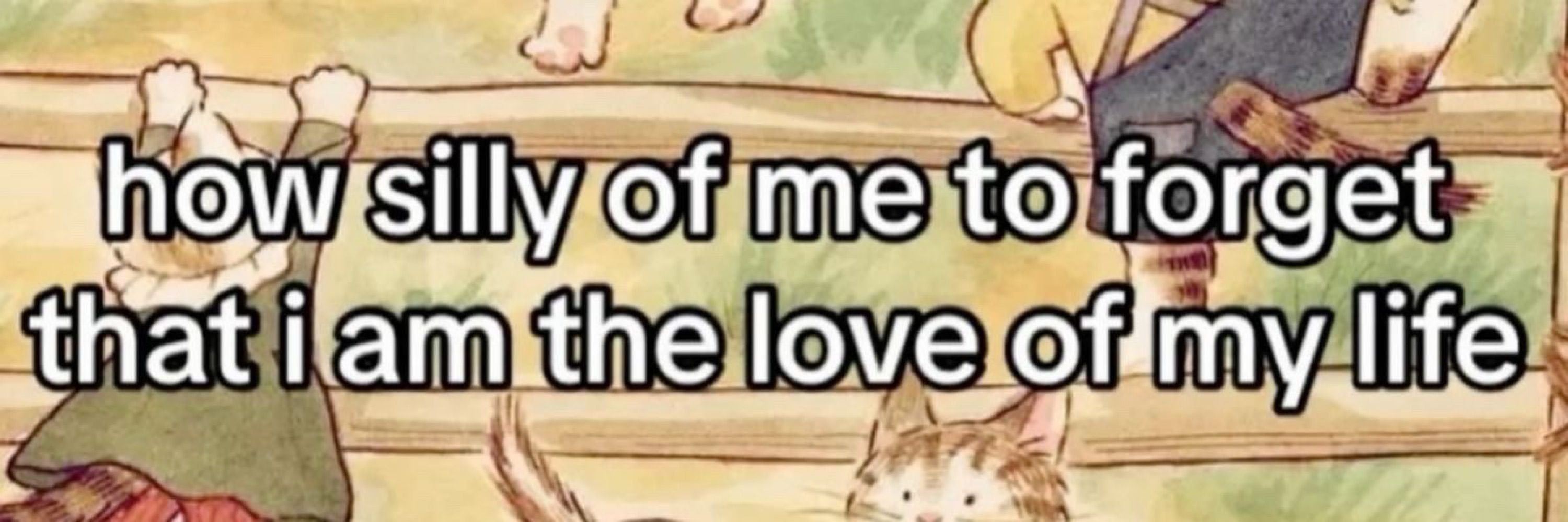 Gato