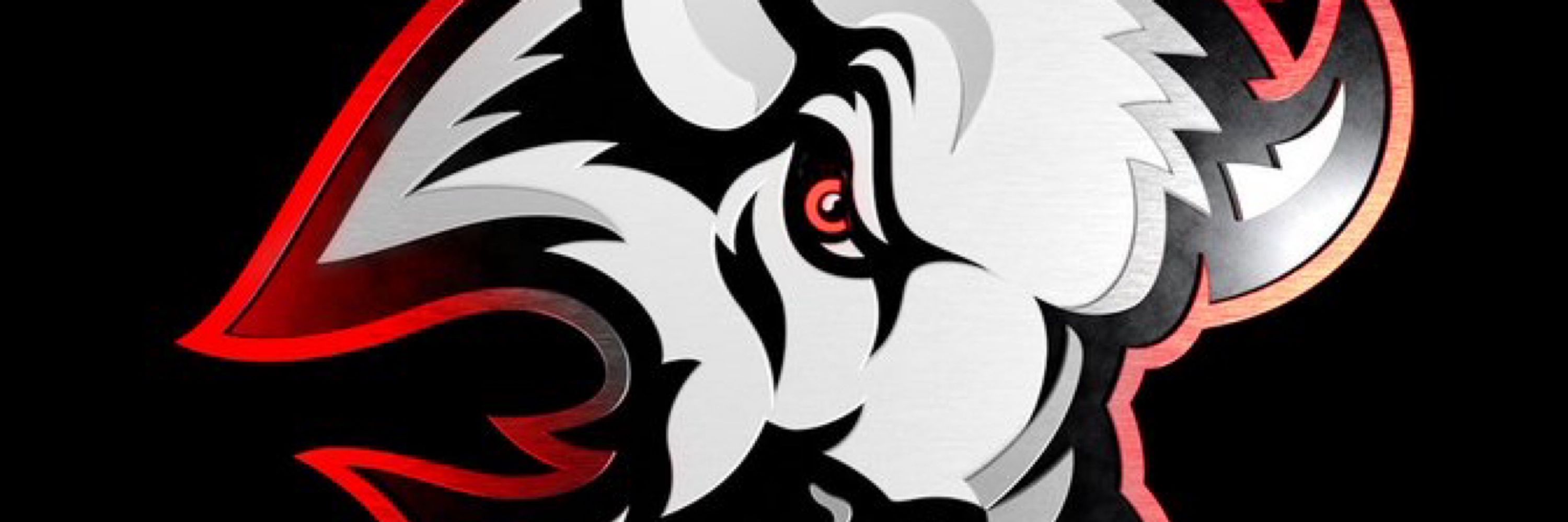 PNW_Buffalo_Sabres_BillsMafia😈