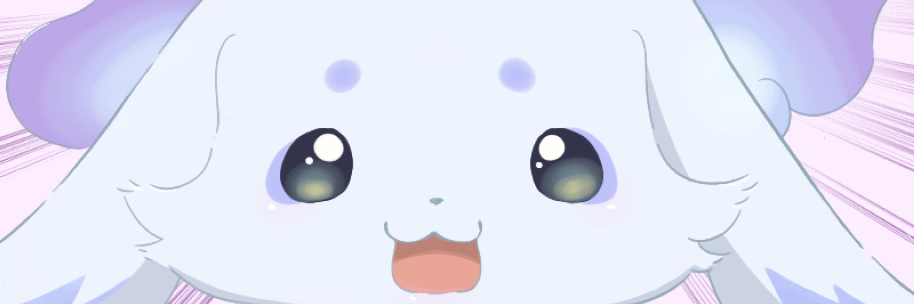 レッサーくまこ