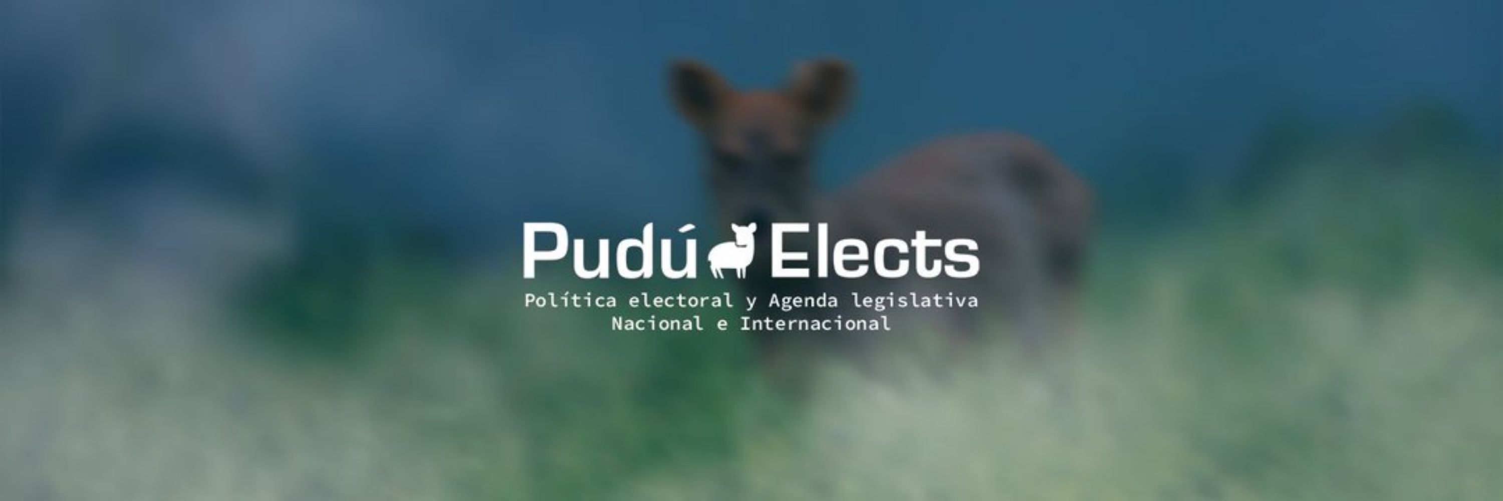 Pudú Press