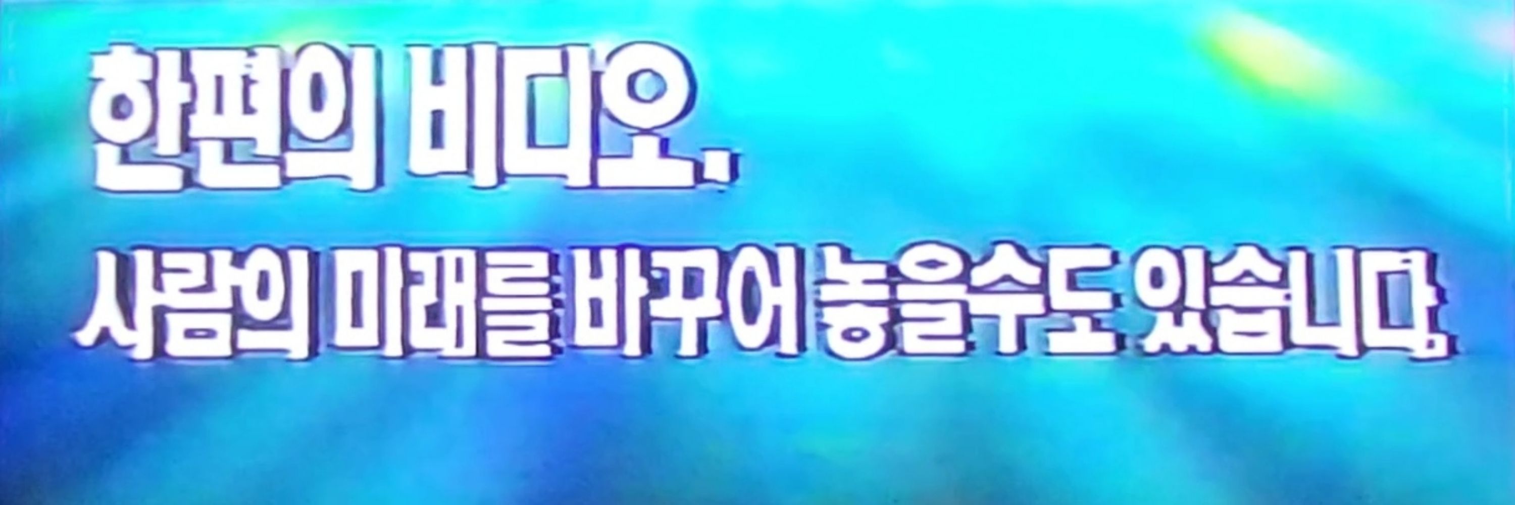 오렌지캣🍊😺
