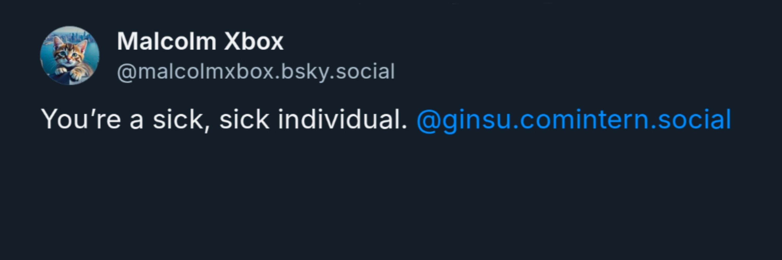 Ginsu ☭🔻