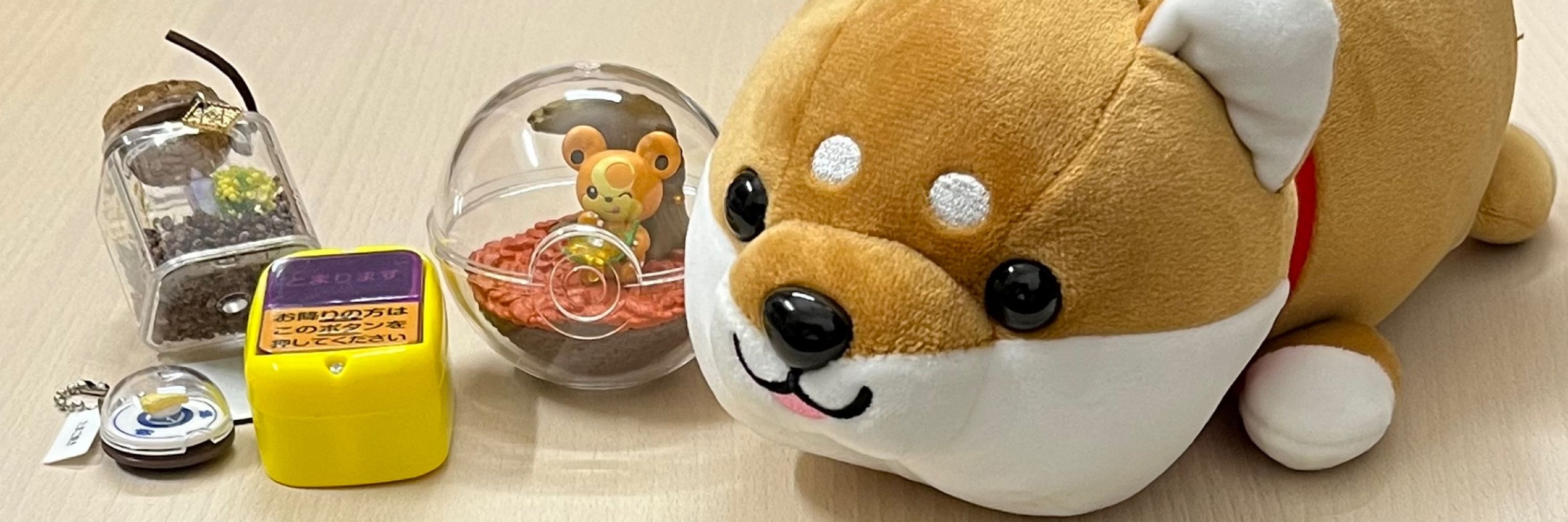 瑠璃唐綿