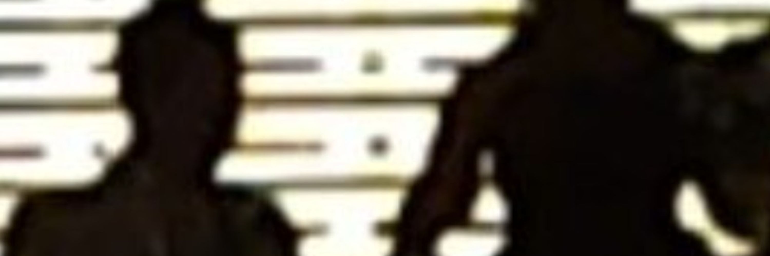 ねいちゃん(neightネイト_ネ(テ)イル)