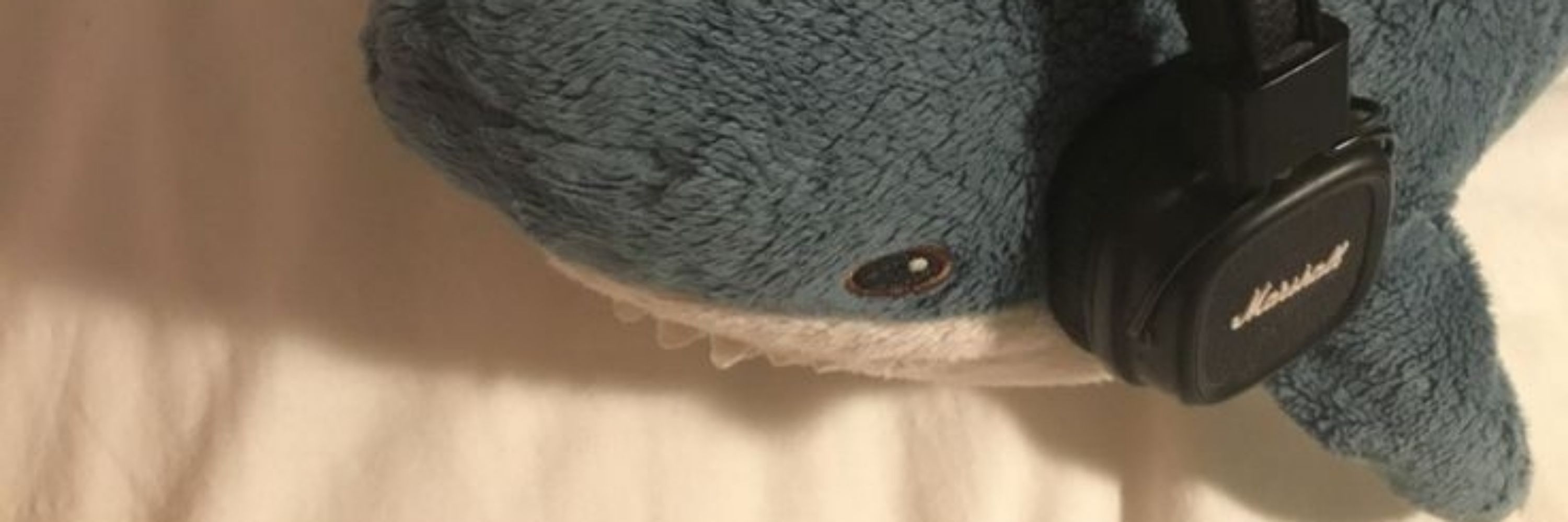 rin 🦭