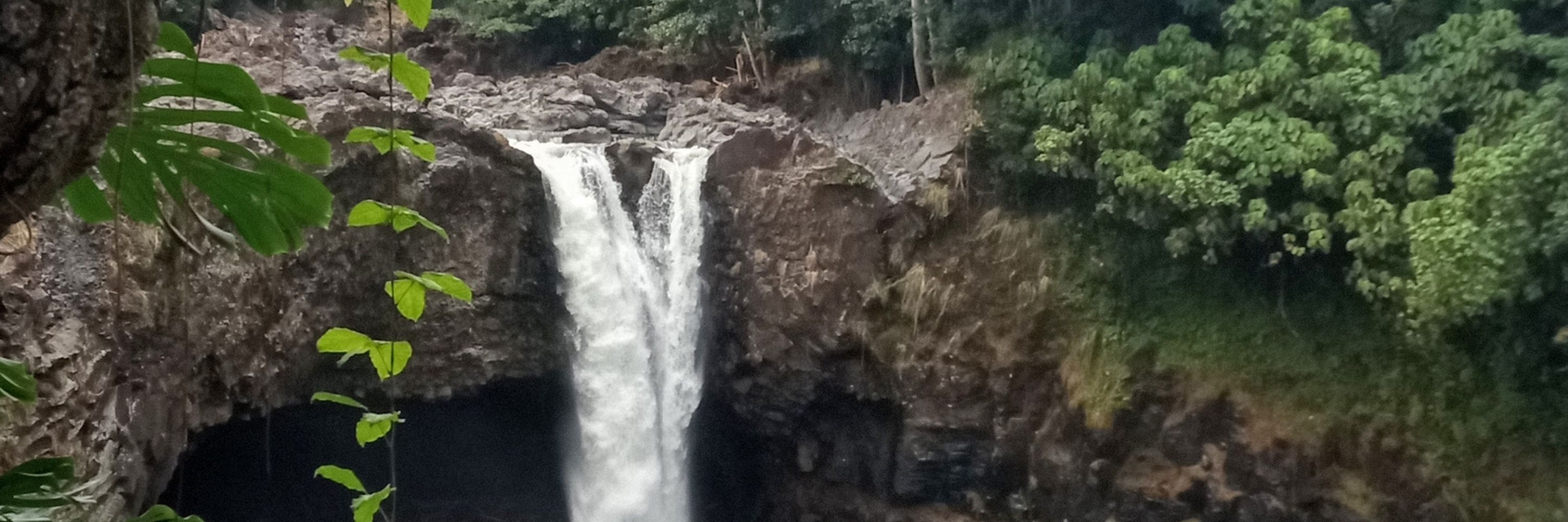 PunaLady