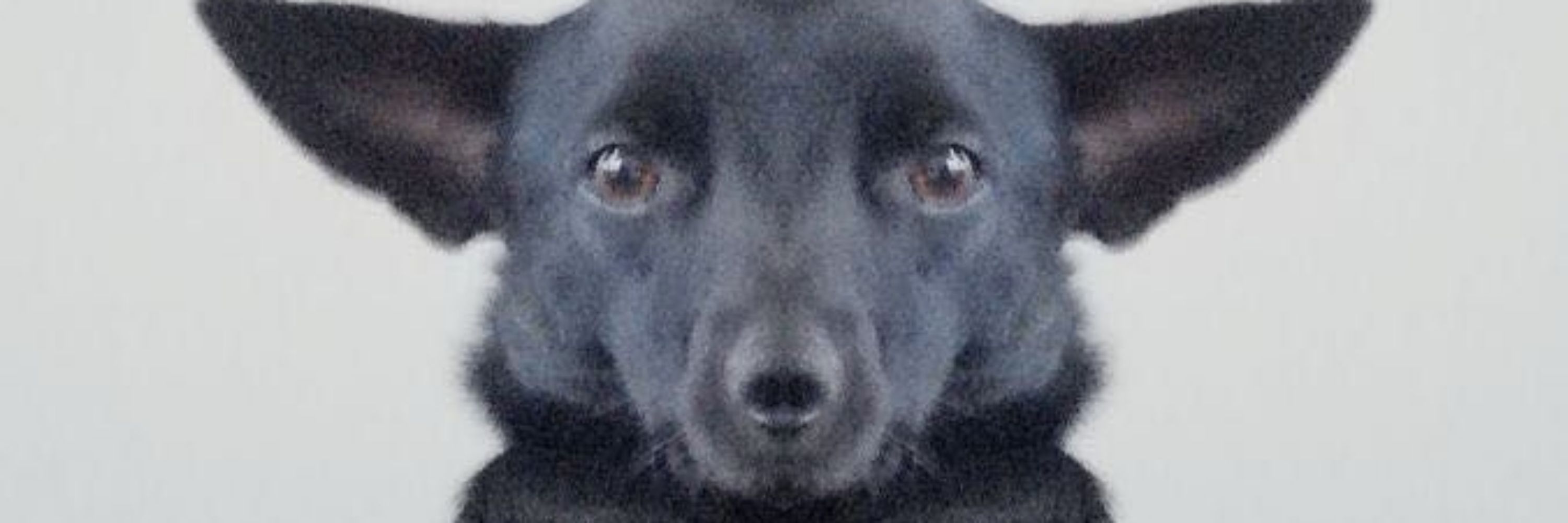 Jäckers