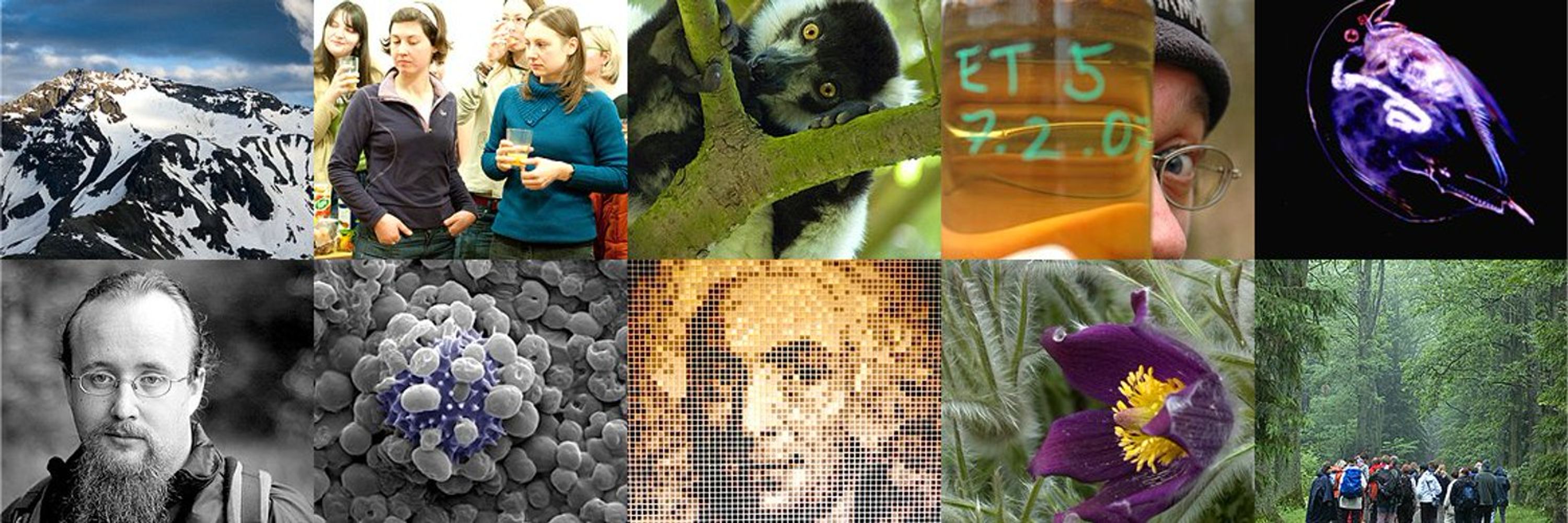 Department of Ecology, Charles University
